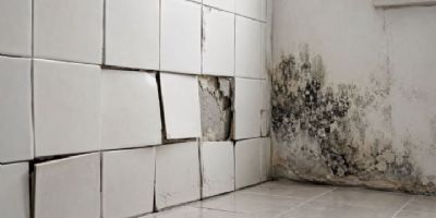 磁磚隆起、牆面發霉怎麼辦？室內設計裝修與裝潢修繕重點解析